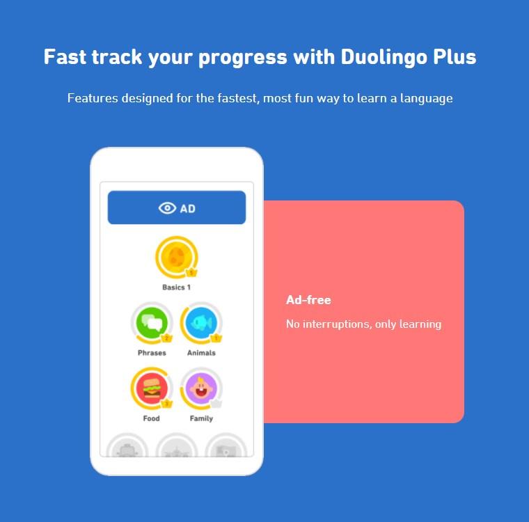 Duolingo Plus Subscription Features